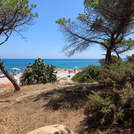 Sa Domu E Muru Galtellì Εξωτερικό φωτογραφία