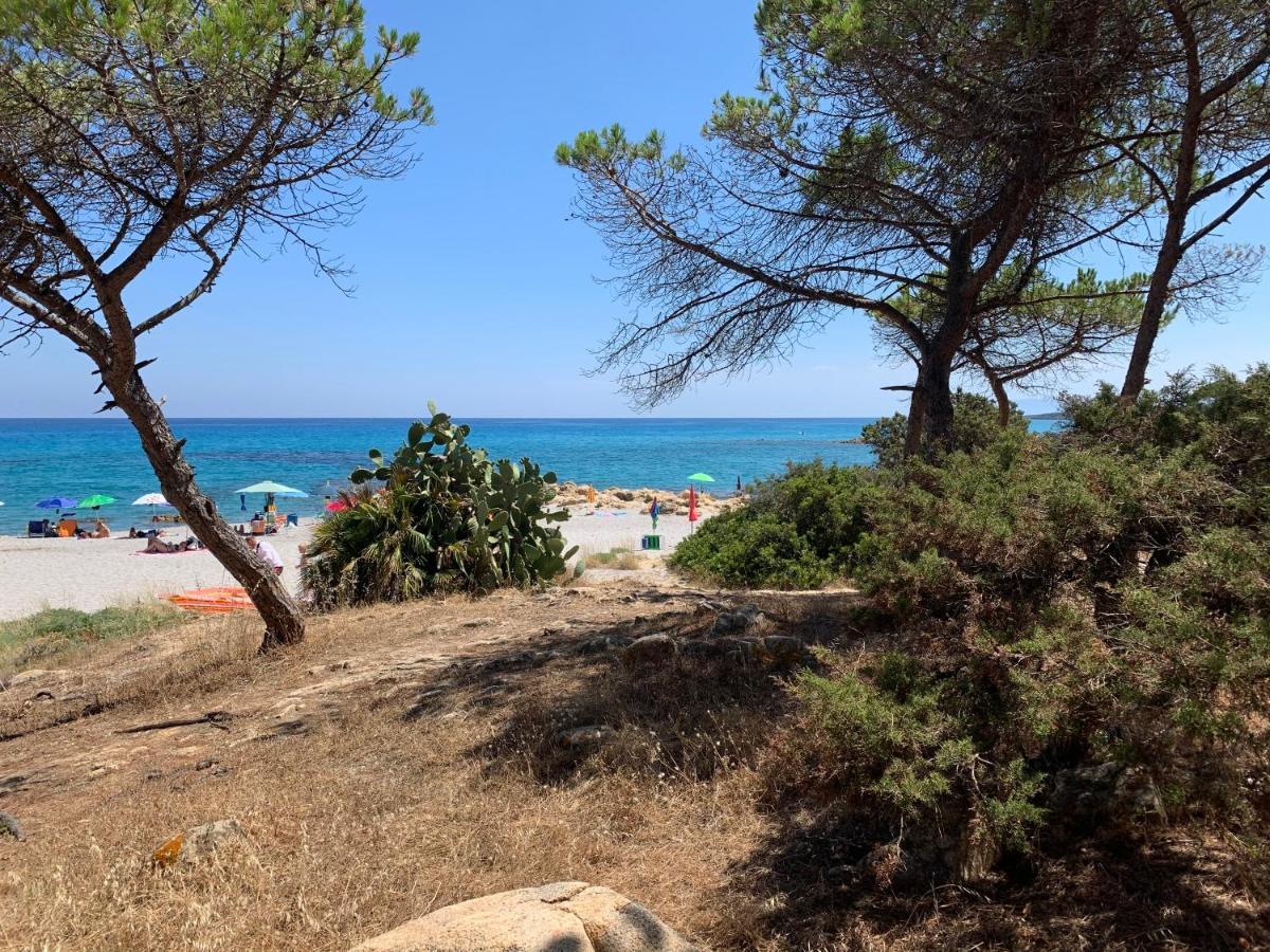 Sa Domu E Muru Galtellì Εξωτερικό φωτογραφία