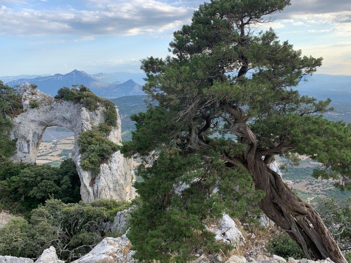 Sa Domu E Muru Galtellì Εξωτερικό φωτογραφία