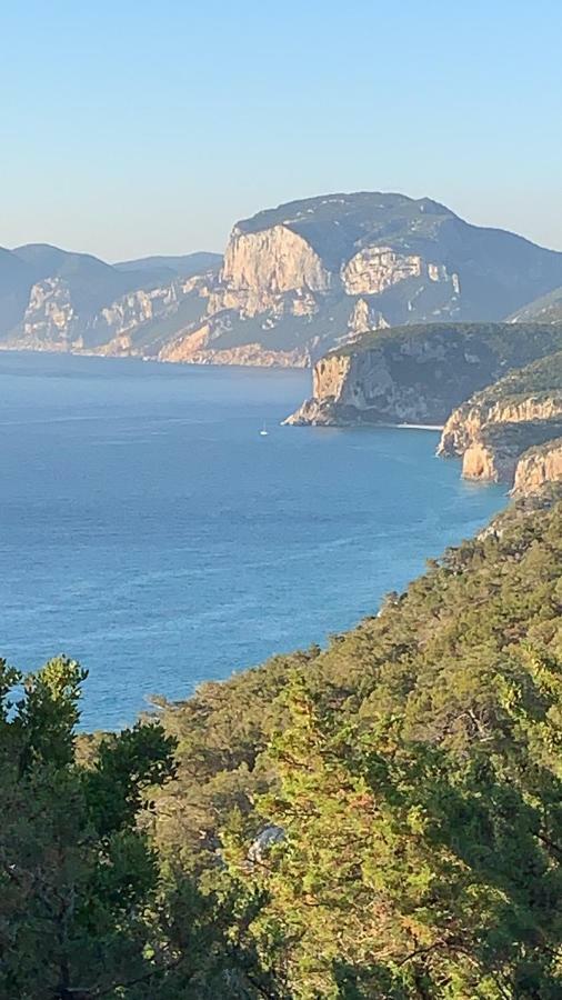 Sa Domu E Muru Galtellì Εξωτερικό φωτογραφία